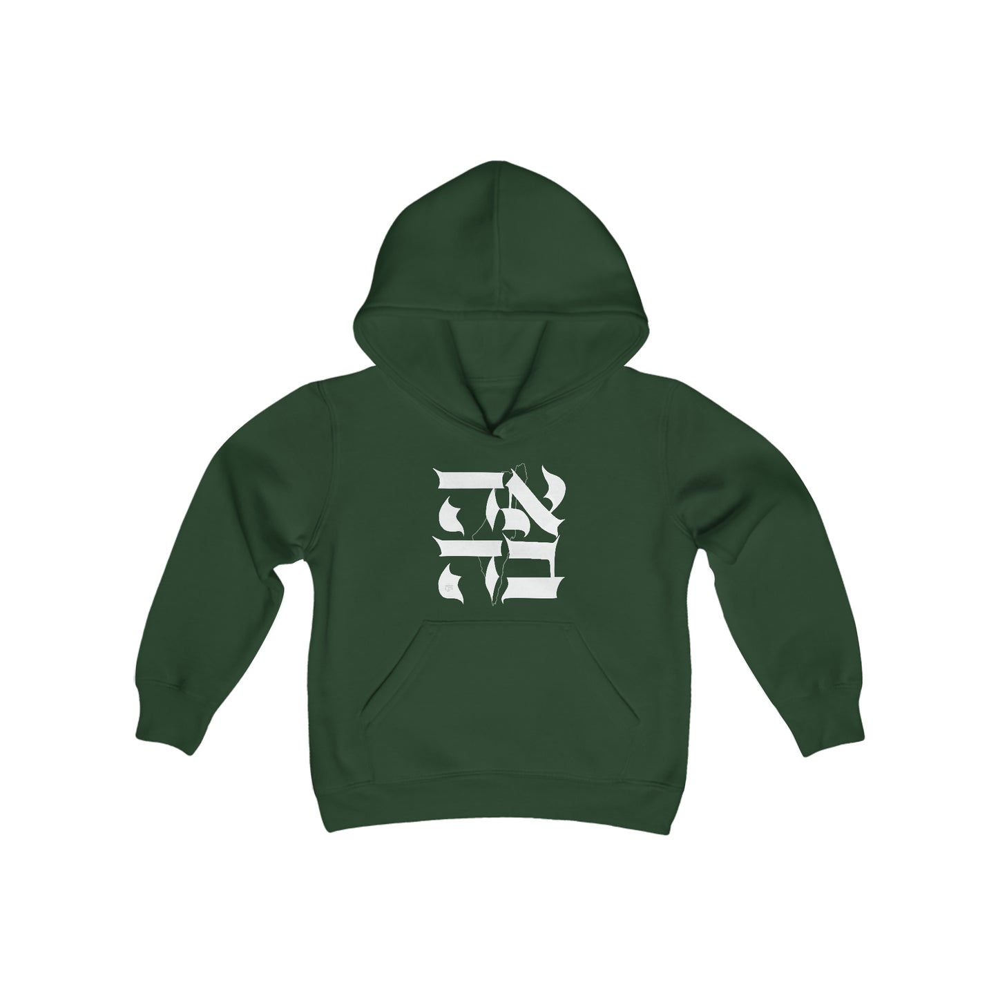 Ahava (love) Israel Youth Heavy Blend Hooded Sweatshirt