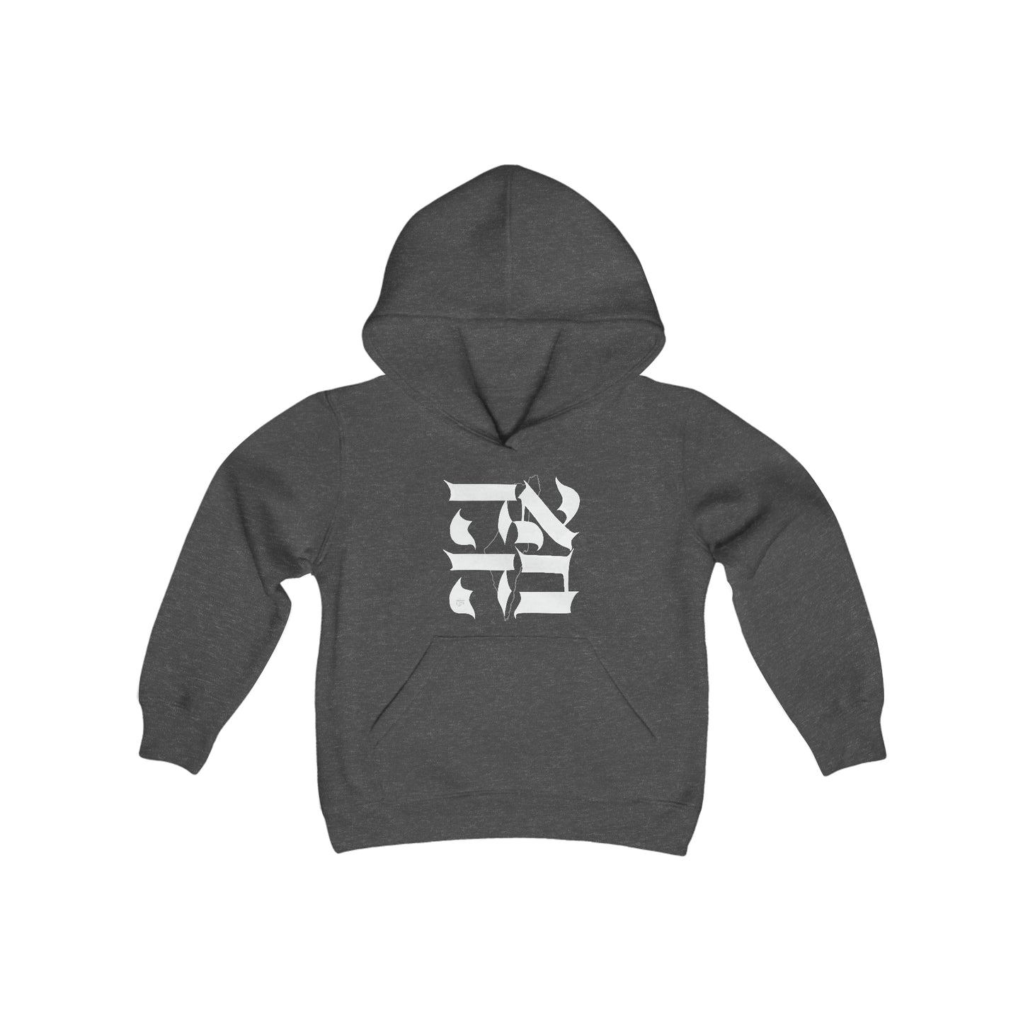 Ahava (love) Israel Youth Heavy Blend Hooded Sweatshirt