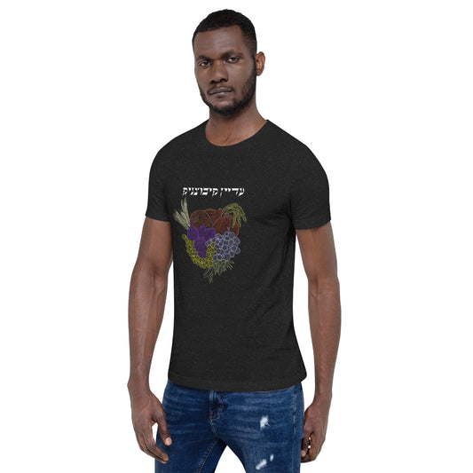 Forever a Kibbutznik Unisex t-shirt